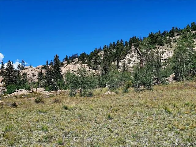 63 Longbow Court Jefferson, CO 80456