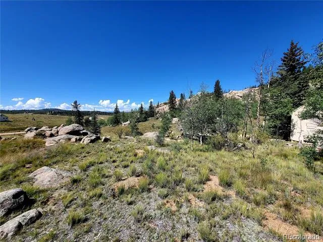 63 Longbow Court Jefferson, CO 80456