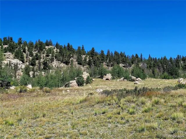63 Longbow Court Jefferson, CO 80456