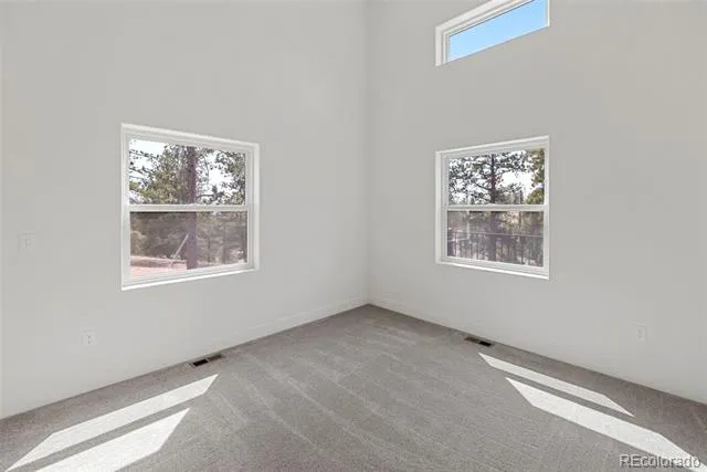 1328 Mountain Estates Road Florissant, CO 80816