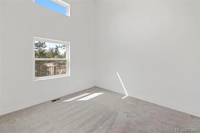 1328 Mountain Estates Road Florissant, CO 80816