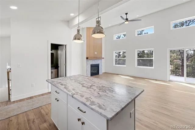 1328 Mountain Estates Road Florissant, CO 80816
