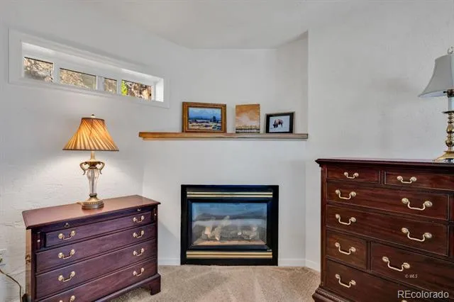 425 Edie Lane Westcliffe, CO 81252