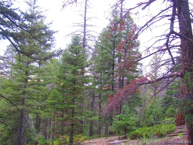 LOT 6447 Shoshita Road San Luis, CO 81152