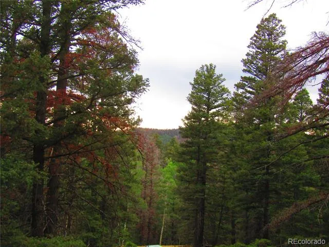 LOT 6447 Shoshita Road San Luis, CO 81152