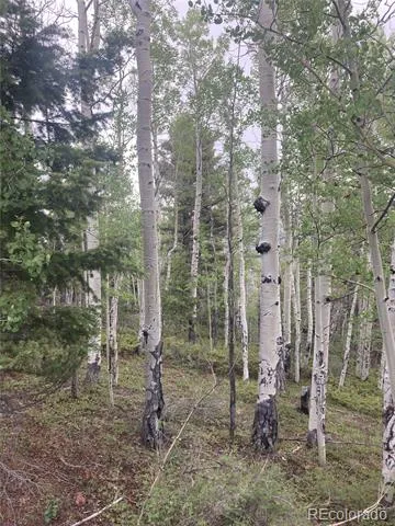 LOT 6447 Shoshita Road San Luis, CO 81152