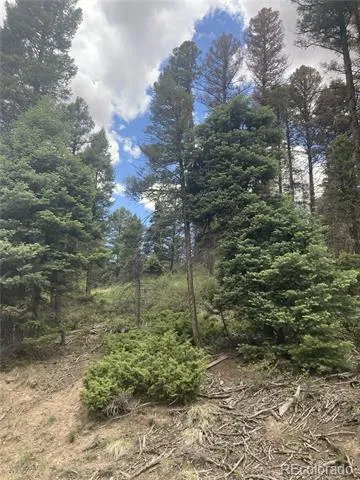 LOT 6447 Shoshita Road San Luis, CO 81152