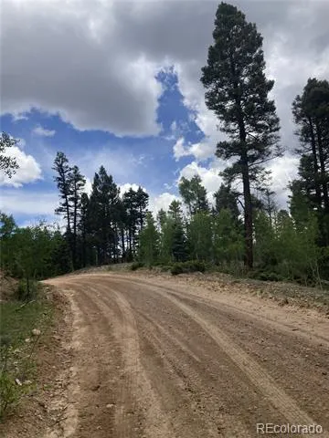 LOT 6447 Shoshita Road San Luis, CO 81152