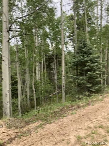 LOT 6447 Shoshita Road San Luis, CO 81152