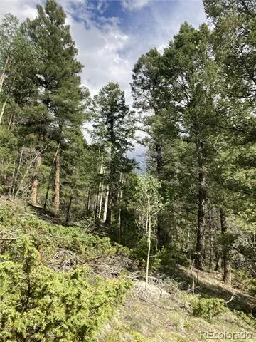 LOT 6447 Shoshita Road San Luis, CO 81152