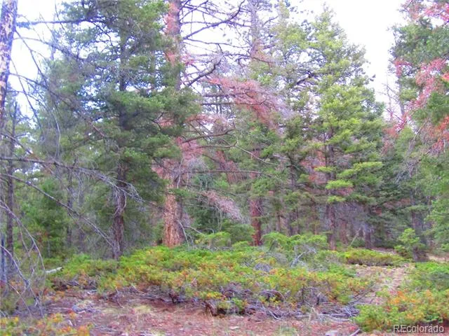 LOT 6447 Shoshita Road San Luis, CO 81152