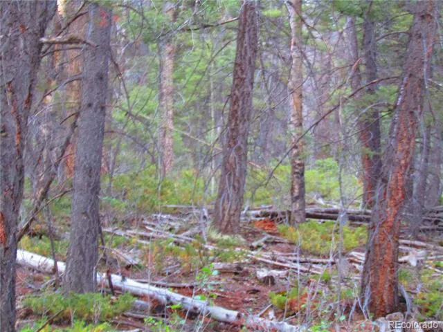 LOT 6447 Shoshita Road San Luis, CO 81152