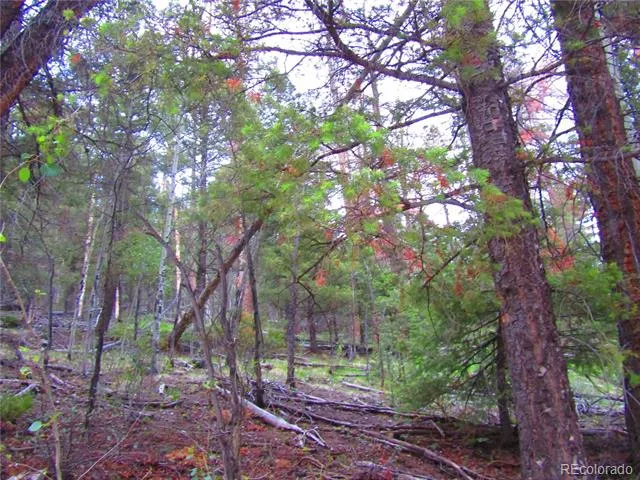 LOT 6447 Shoshita Road San Luis, CO 81152