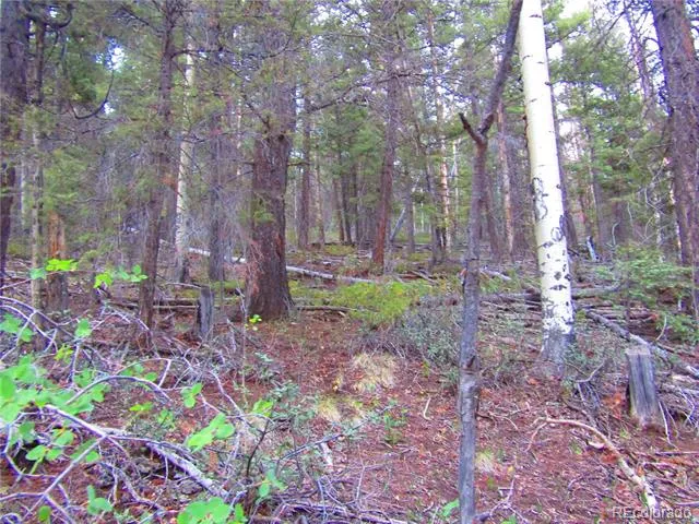 LOT 6447 Shoshita Road San Luis, CO 81152