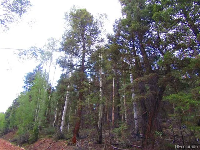 LOT 6447 Shoshita Road San Luis, CO 81152