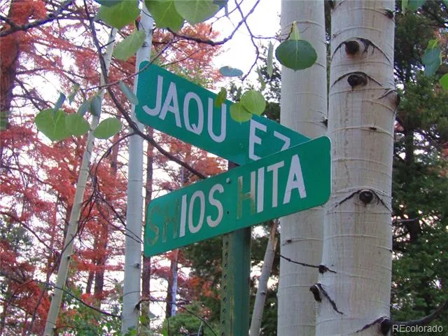 LOT 6447 Shoshita Road San Luis, CO 81152