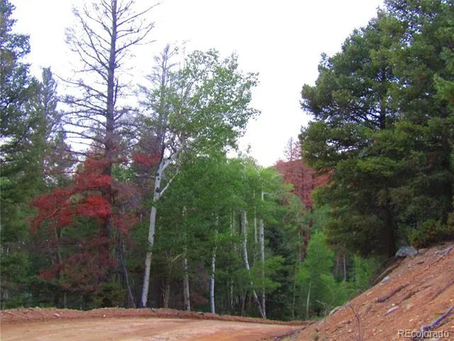 LOT 6447 Shoshita Road San Luis, CO 81152