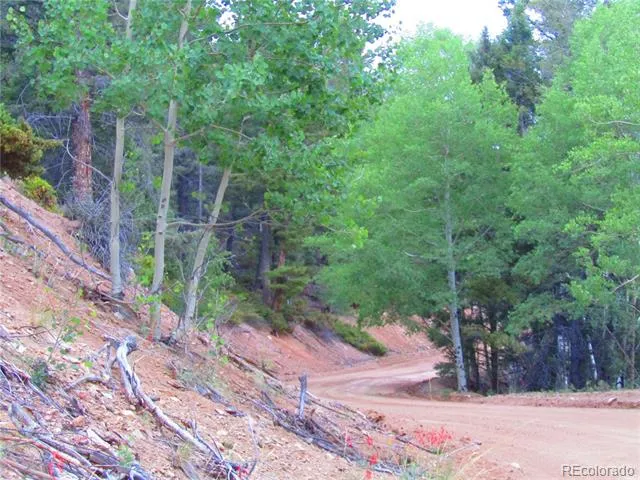 LOT 6447 Shoshita Road San Luis, CO 81152