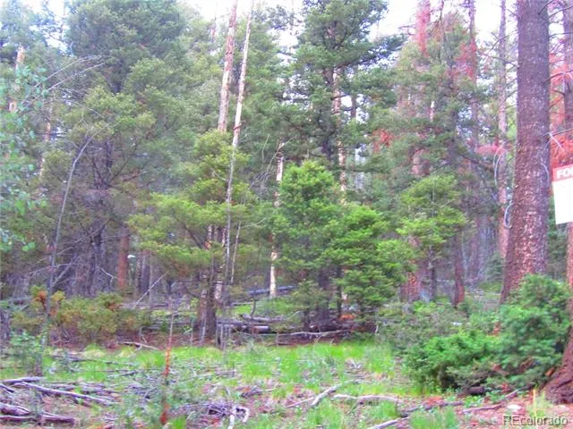 LOT 6447 Shoshita Road San Luis, CO 81152