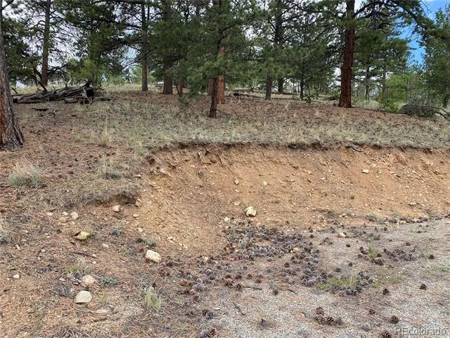 2071 Al Gulch Road Jefferson, CO 80456
