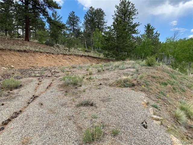2071 Al Gulch Road Jefferson, CO 80456