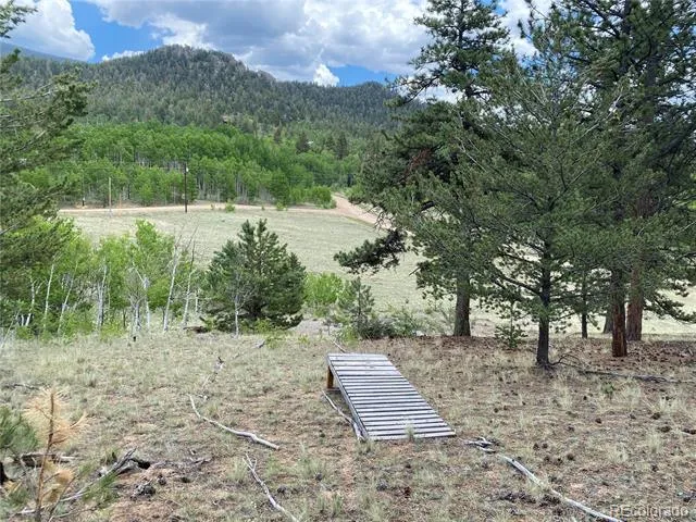 2071 Al Gulch Road Jefferson, CO 80456