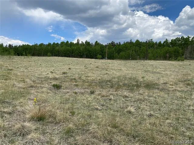 2071 Al Gulch Road Jefferson, CO 80456
