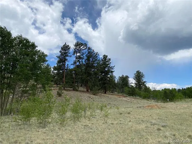 2071 Al Gulch Road Jefferson, CO 80456