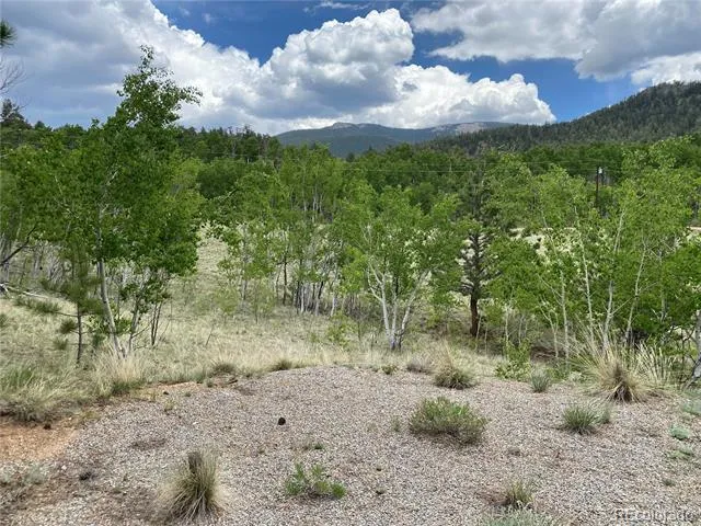 2071 Al Gulch Road Jefferson, CO 80456