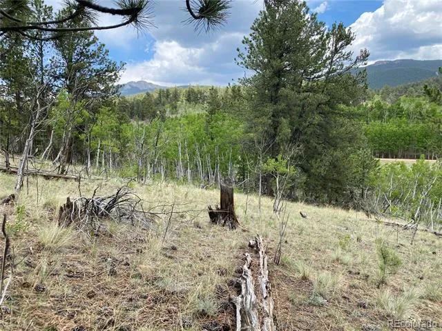 2071 Al Gulch Road Jefferson, CO 80456