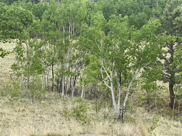 2071 Al Gulch Road Jefferson, CO 80456