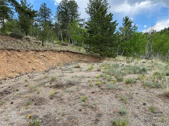 2071 Al Gulch Road Jefferson, CO 80456