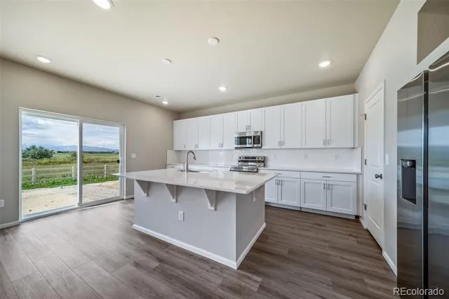 28655 E 4th Place Watkins, CO 80137