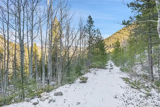 Clear Creek Rd Road Evergreen, CO 80439