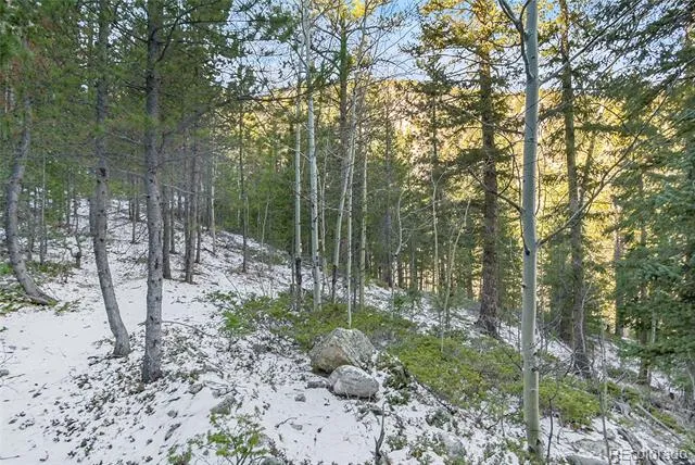 Clear Creek Rd Road Evergreen, CO 80439