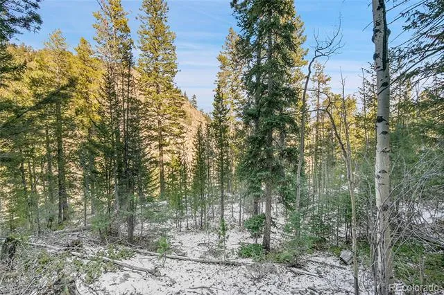 Clear Creek Rd Road Evergreen, CO 80439