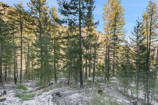 Clear Creek Rd Road Evergreen, CO 80439