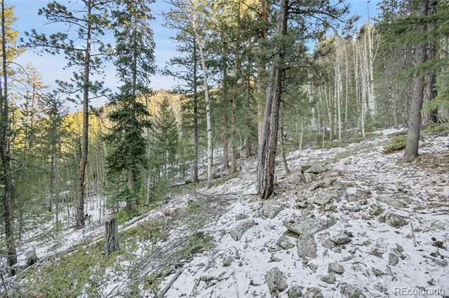 Clear Creek Rd Road Evergreen, CO 80439