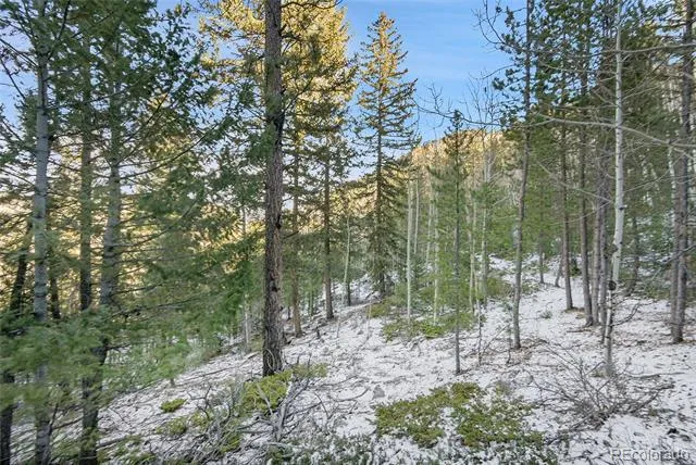 Clear Creek Rd Road Evergreen, CO 80439