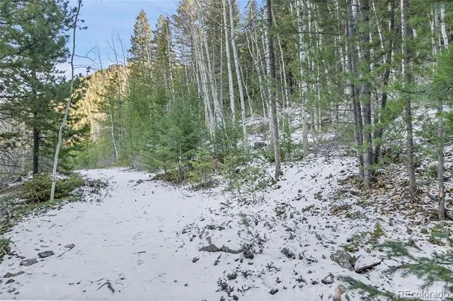 Clear Creek Rd Road Evergreen, CO 80439