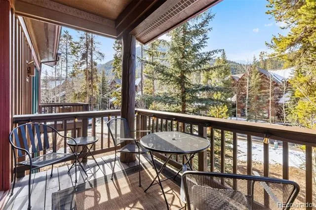 45 Trappers Crossing Trail #8754 Dillon, CO 80435