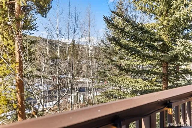 45 Trappers Crossing Trail #8754 Dillon, CO 80435