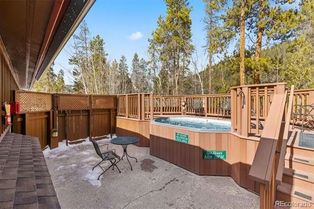 45 Trappers Crossing Trail #8754 Dillon, CO 80435