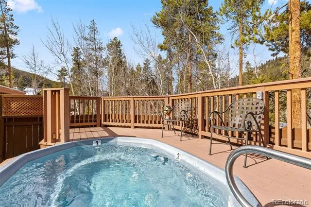 45 Trappers Crossing Trail #8754 Dillon, CO 80435