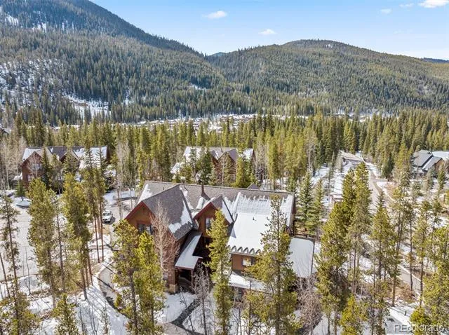 45 Trappers Crossing Trail #8754 Dillon, CO 80435