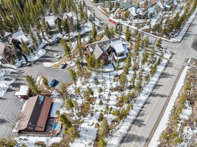 45 Trappers Crossing Trail #8754 Dillon, CO 80435