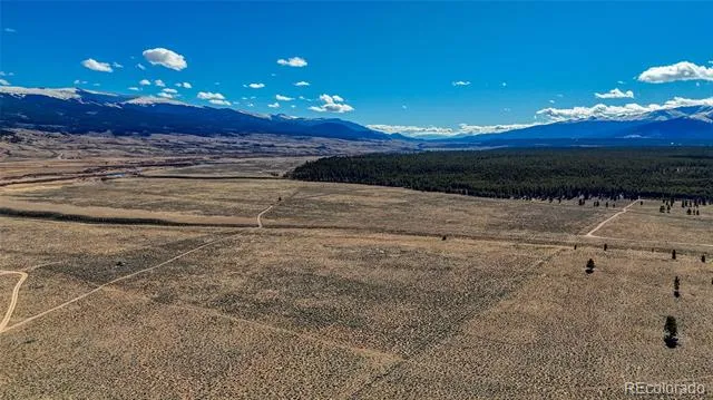 15 County Road 10 Leadville, CO 80461