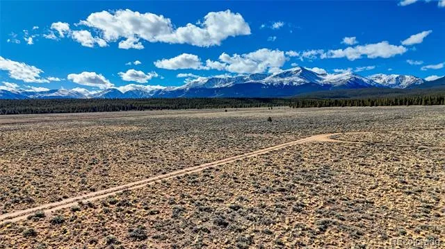 15 County Road 10 Leadville, CO 80461
