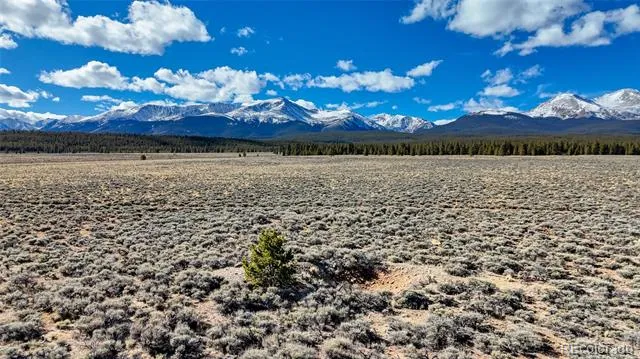 15 County Road 10 Leadville, CO 80461