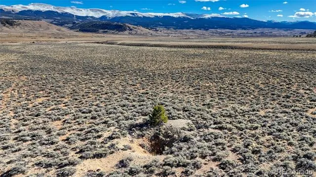 15 County Road 10 Leadville, CO 80461